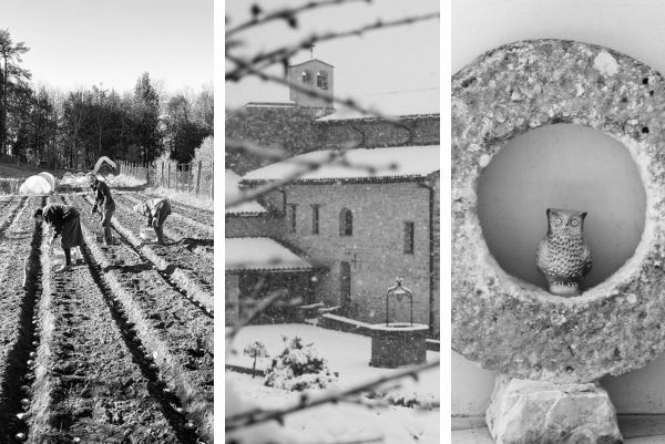 Leggi tutto: Notizie dalle fratenità