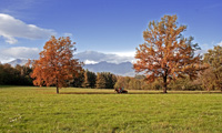 Bose, autunno 2006 - prati attorno al monastero