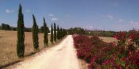 Leggi tutto: Slideshow in home page Ostuni