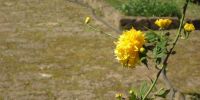 Read more: Slideshow in home page Civitella