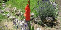 Read more: Slideshow in home page Civitella