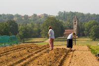 Lire la suite : Potager et verger