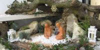 Leggi tutto: Slideshow in home page Ostuni