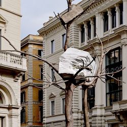 Giuseppe Penone, Foglie di Pietra, 2017, Roma