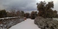 Leggi tutto: Slideshow in home page Ostuni