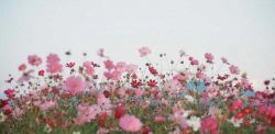 Foto di Mio Ito su Unsplash