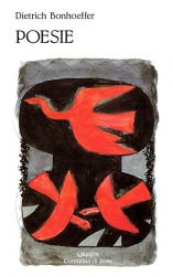 Leggi tutto: Amico: il bel fiordaliso