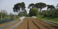 Read more: Slideshow in home page Civitella