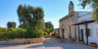 Leggi tutto: Slideshow in home page Ostuni