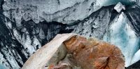 Leggi tutto: Roccia o sabbia?