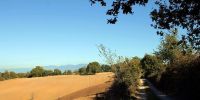 Read more: Slideshow in home page Civitella