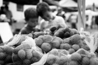 Leggi tutto: Il gusto è piacere di vivere