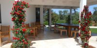 Leggi tutto: Slideshow in home page Ostuni