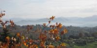 Read more: Slideshow in home page Civitella