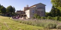 Leggi tutto: Slideshow in home page Assisi