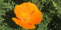 Read more: Slideshow in home page Civitella