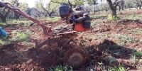 Leggi tutto: Slideshow in home page Ostuni