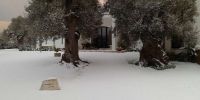 Leggi tutto: Slideshow in home page Ostuni