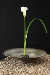 Lire la suite : Ikebana