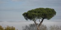 Read more: Slideshow in home page Civitella