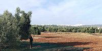 Leggi tutto: Slideshow in home page Ostuni