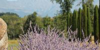 Leggi tutto: Slideshow in home page Bose