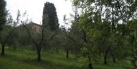 Read more: Slideshow in home page Civitella