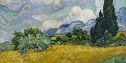 Vincent van Gogh, Campo di grano con cipressi, 1889, olio su tela, 73.2 × 93.4 cm, Metropiolitan  Museum of art, New York.