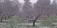 Leggi tutto: Slideshow in home page Ostuni