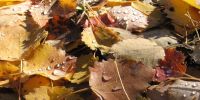 Read more: Slideshow in home page Civitella