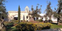 Leggi tutto: Slideshow in home page Ostuni