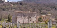 Leggi tutto: Slideshow in home page Assisi