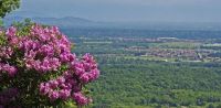 Leggi tutto: Allo specchio delle nostre incoerenze