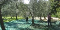 Read more: Slideshow in home page Civitella