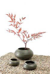 Lire la suite : Ikebana