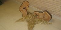 Read more: Slideshow in home page Civitella