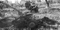 Leggi tutto: Slideshow in home page Ostuni