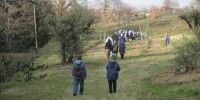 Read more: Slideshow in home page Civitella