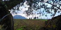 Read more: Slideshow in home page Civitella