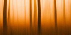 Unsplash