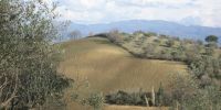 Read more: Slideshow in home page Civitella