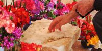 Leggi tutto: Slideshow in home page Ostuni