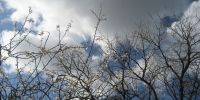 Read more: Slideshow in home page Civitella