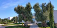 Leggi tutto: Slideshow in home page Ostuni