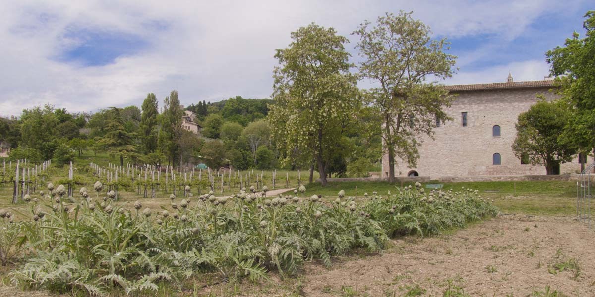 3_Carciofi