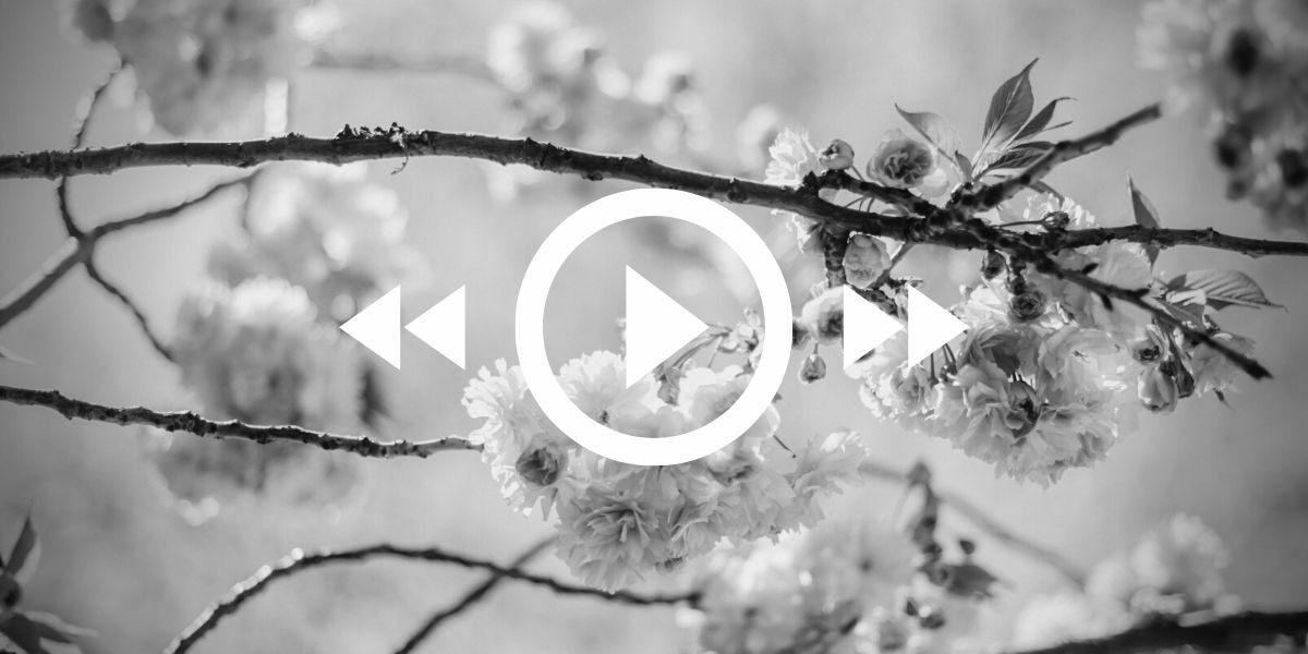 001_nerses_fiori