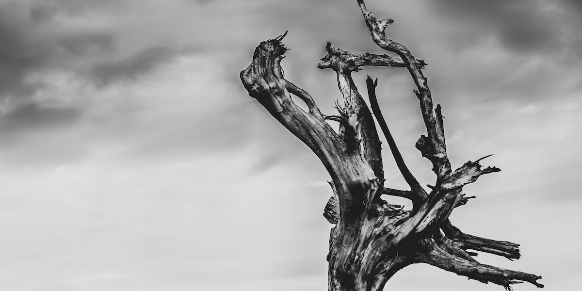 002_002_21_03_14_legno