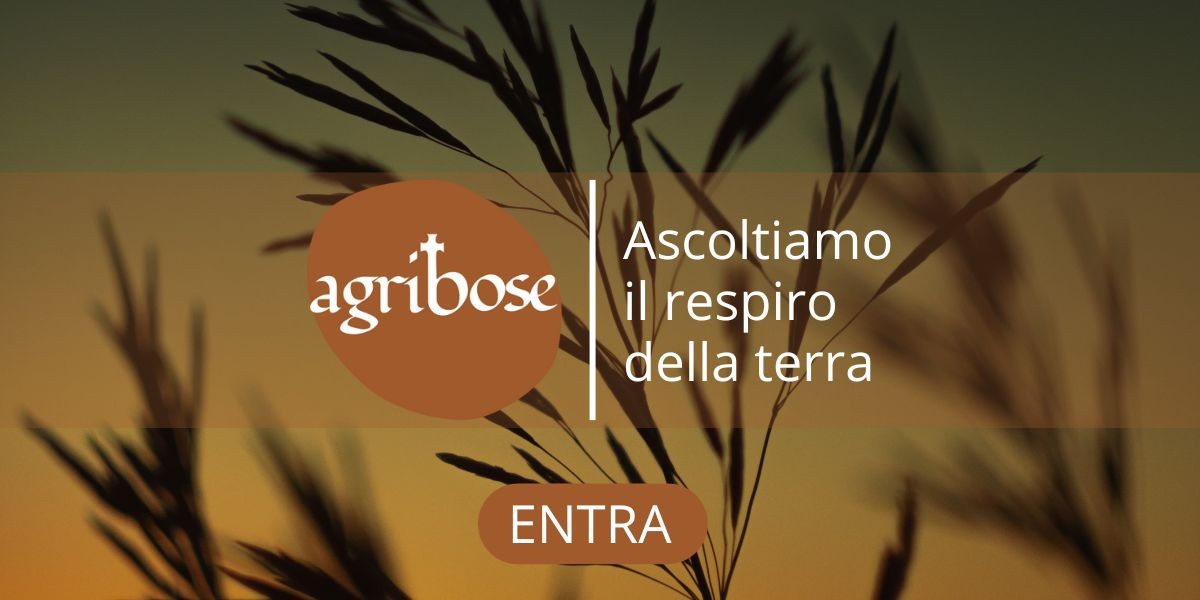 004_agribose