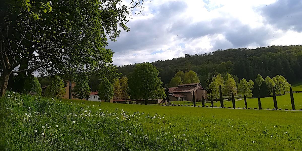03_prato