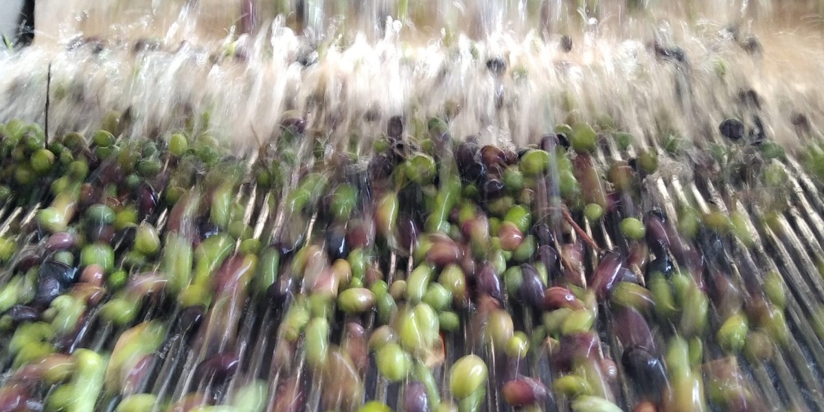 05_olive_ostuni